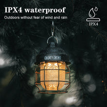 Last inn bildet i Galleri-visningsprogrammet, Dekorerende hengende utelykter